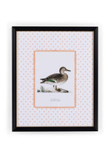 Casa by Josephine Jenno Duck II Framed Print Wall Art