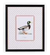 Feather and Grace Duck Print III | Casa by Josephine Jenno
