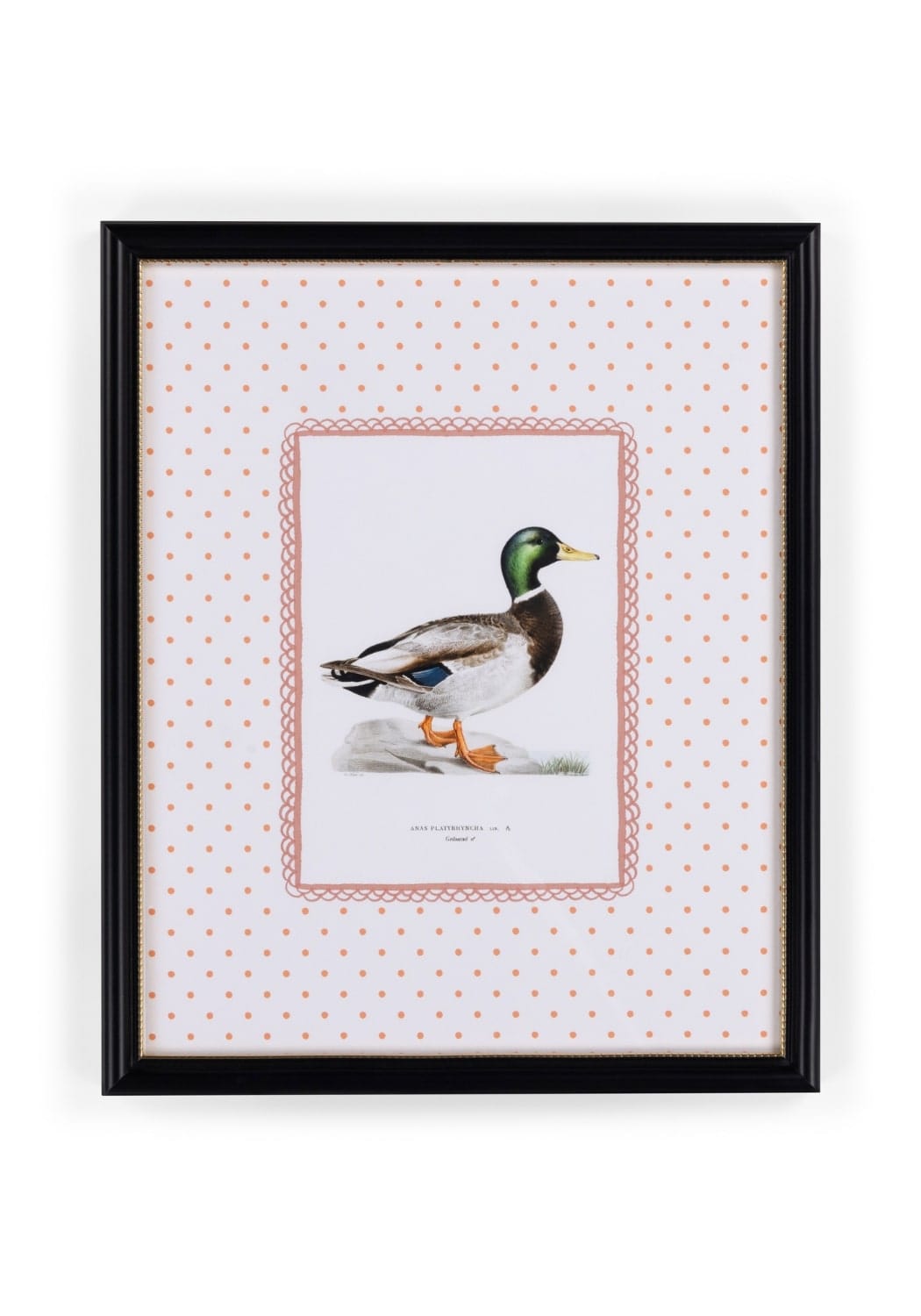 Feather and Grace Duck Print III | Casa by Josephine Jenno
