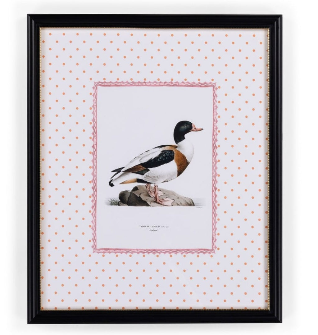 Casa by Josephine Jenno Duck IV Framed Print