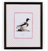 Casa by Josephine Jenno Duck IV Framed Print