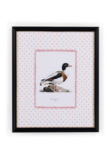 Casa by Josephine Jenno Duck IV Framed Print