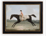 Casa by Josephine Jenno Vintage Racing Day Glory Horse Prints