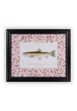 Casa by Josephine Jenno Fish II Framed Print