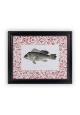 Fish III Framed Print | Casa by Josephine Jenno