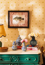 Fish III Framed Print | Casa by Josephine Jenno