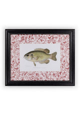 Casa by Josephine Jenno Fish IV Framed Print