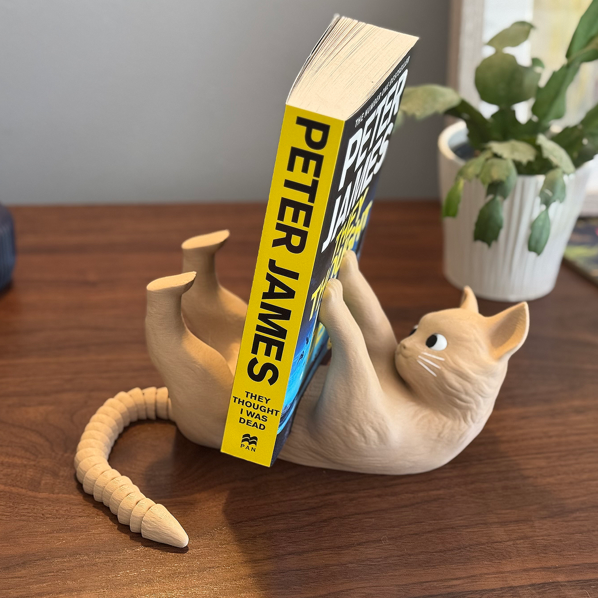 Filamora Studios Purr-fect Cat Book Display Holder with Tail
