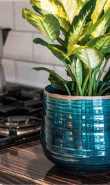 Casa by Josephine Jenno Como Hand Finished Pot - 17–21cm
