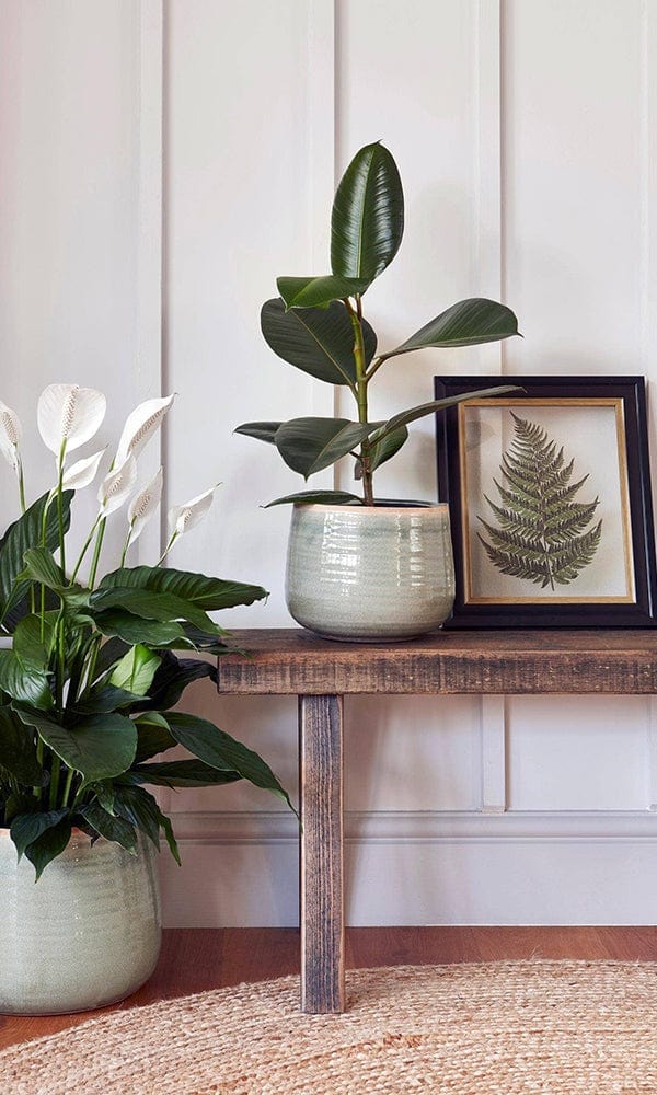 Casa by Josephine Jenno Como Hand Finished Pot - 17–21cm