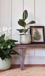 Casa by Josephine Jenno Como Hand Finished Pot - 17–21cm