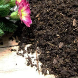 Dandy's Composted Mulch Bark Fines