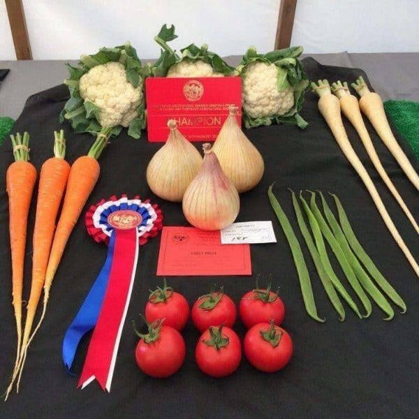 Dandy’s VegeGrow® Welsh Rich Topsoil for vegetables