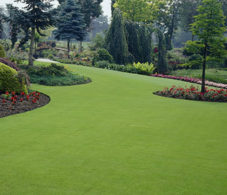 TurfStore Ornamental Gold Fine Turf Roll 1m²