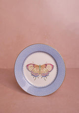 Casa by Josephine Jenno Cornflower Blue Lace Butterfly Plates - Set of 4