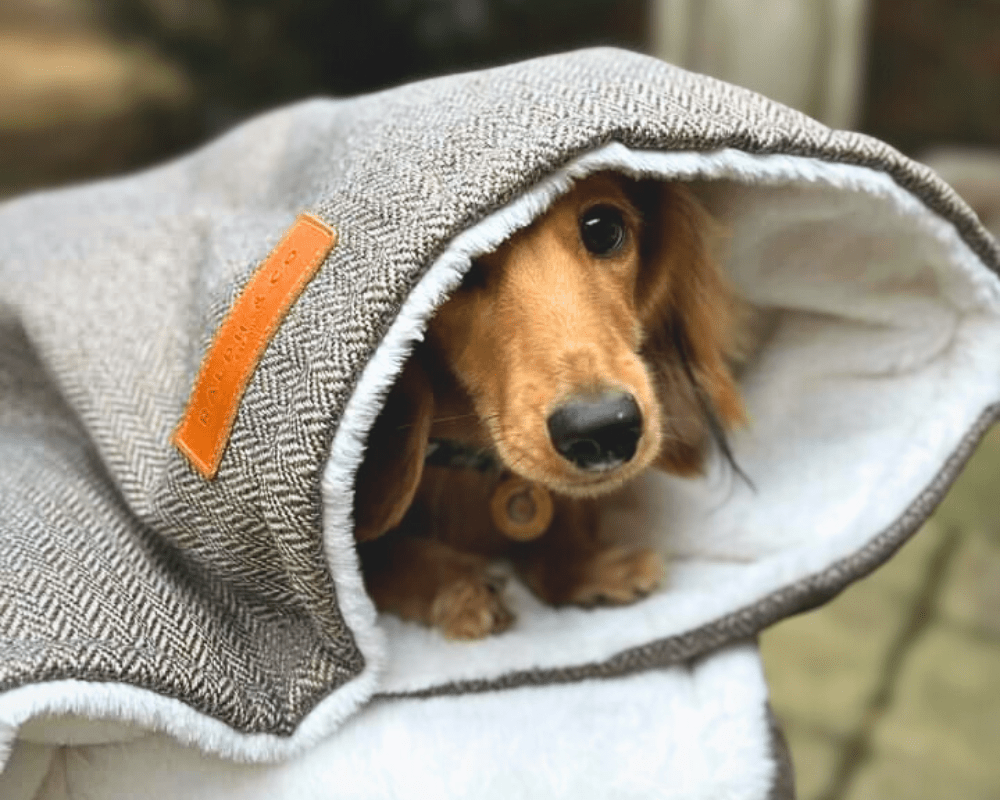 Ralph & Co Luxury Washable Tweed Dog Blanket - Lincoln