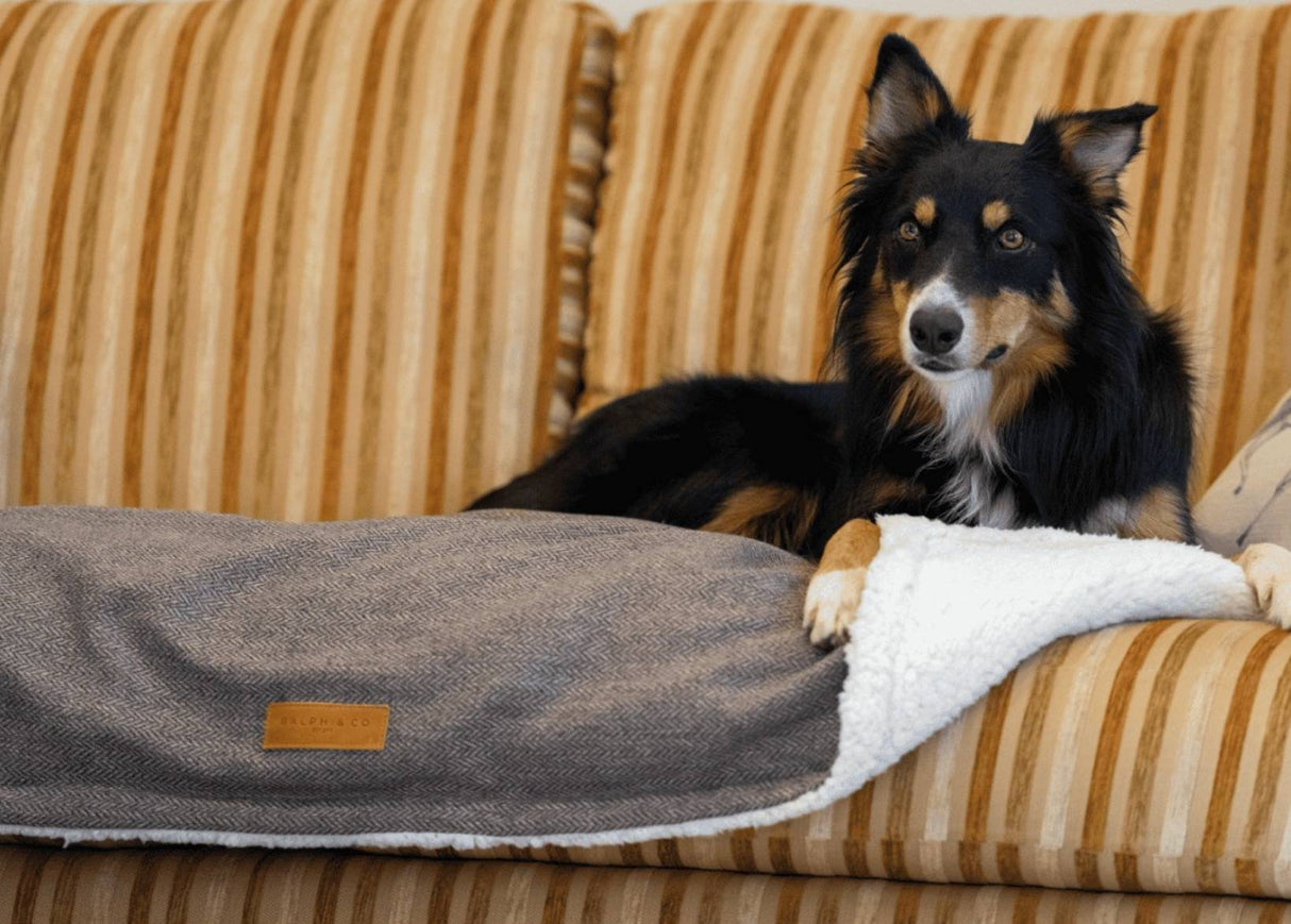 Ralph & Co Luxury Washable Tweed Dog Blanket - Lincoln