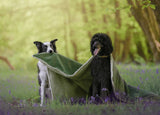 Ralph & Co Luxury Washable Green Dog Blanket