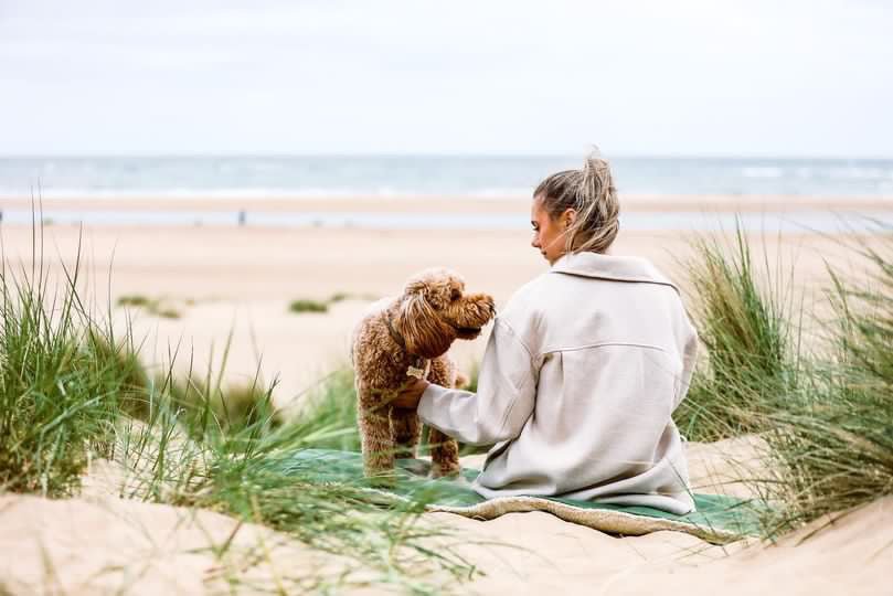 Ralph & Co Luxury Washable Green Dog Blanket