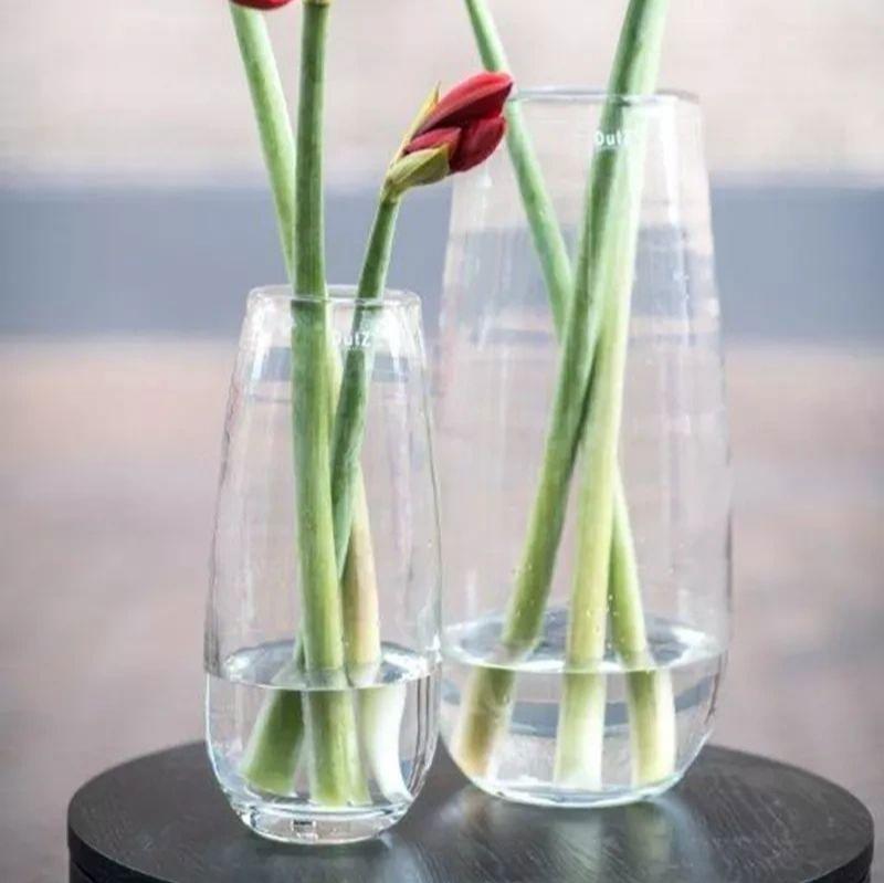Lowlands Design Vase Robert Clear Glass by DutZ