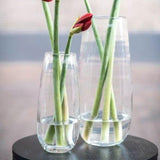 Lowlands Design Vase Robert Clear Glass by DutZ