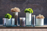 Lowlands Design Cylinder 6 Mouth Blown Glass Vase Pot