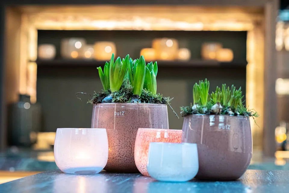 Lowlands Design Beige Glass Pot by DutZ