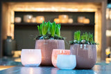 Lowlands Design Beige Glass Pot by DutZ