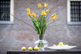 Lowlands Design Modest Clear Bubbles Vase