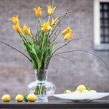 Lowlands Design Modest Clear Bubbles Vase