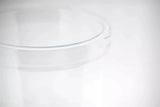 Lowlands Design Amazon Clear Hurricane Vase