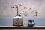 Lowlands Design Marco Smoke Orchid Pot by Dutz