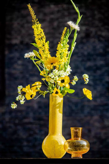 Lowlands Design Modest Vase - Gold Bubbles