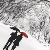 Pagazzi Winter Walk Liquid Art Chrome Frame - 80x60cm