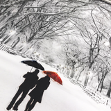 Pagazzi Winter Walk Liquid Art Chrome Frame - 80x60cm