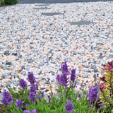 Dandy's Flamingo Gravel Chippings - 20mm