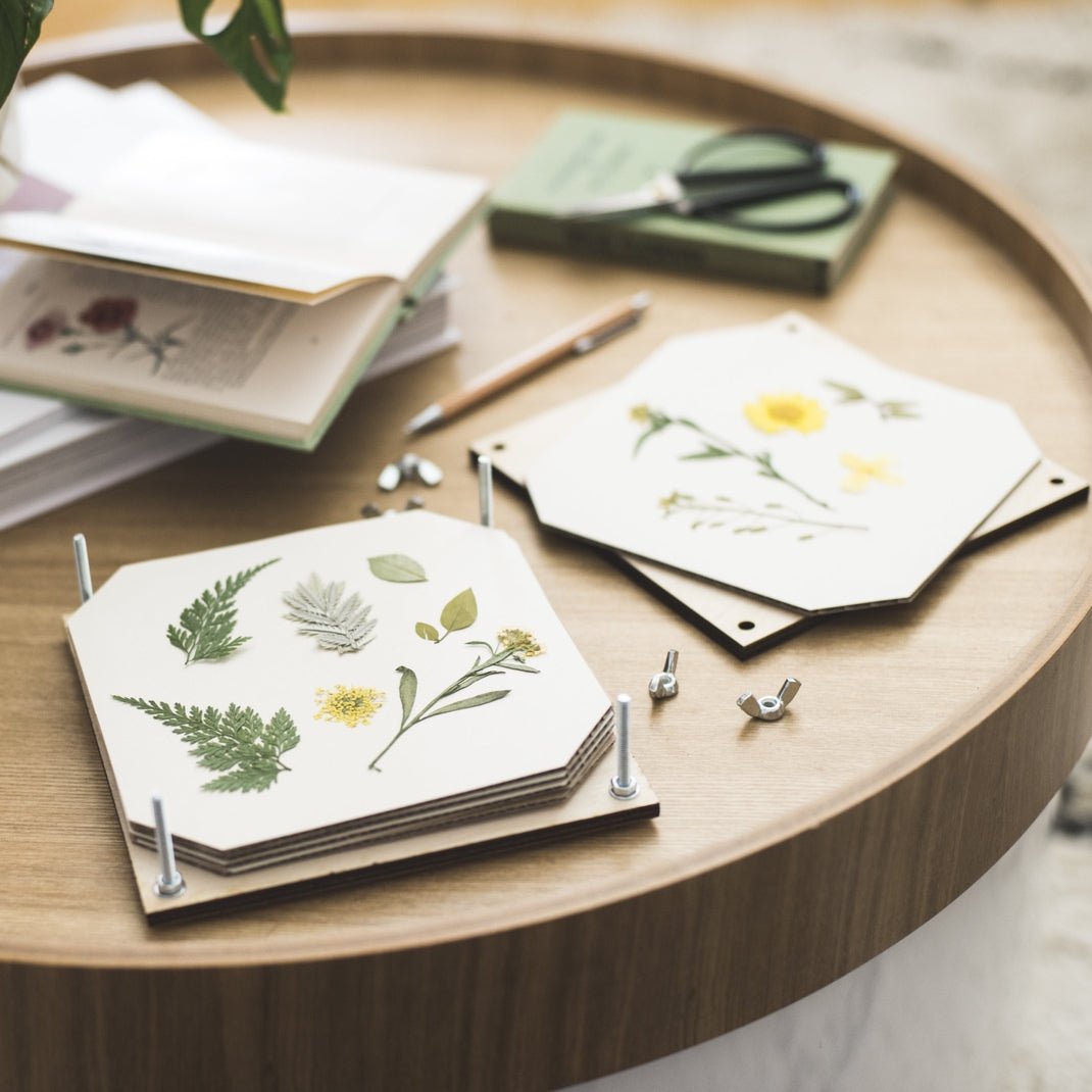 AllotMate Essentials Wooden Flower Press Kit - 15cm