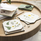AllotMate Essentials Wooden Flower Press Kit - 15cm