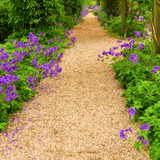 Dandy’s Golden Gravel Chippings