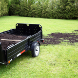 Dandy's Green Again Lawn Reviver