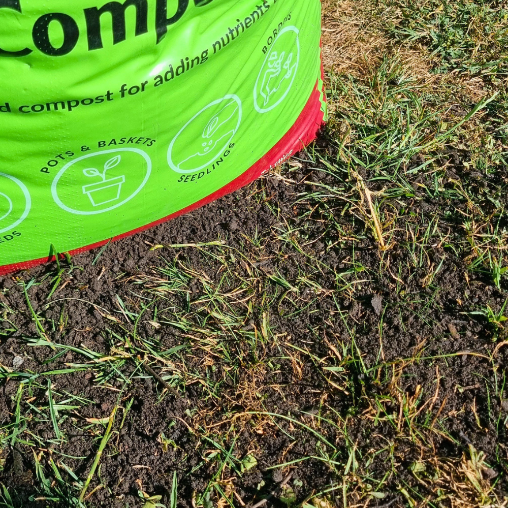 Dandy's Green Again Lawn Reviver