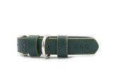 Ralph & Co Green Leather Dog Collar