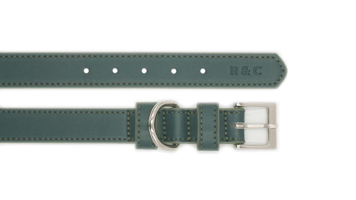 Ralph & Co Green Leather Dog Collar
