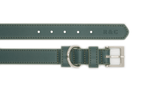 Ralph & Co Green Leather Dog Collar