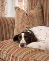 Ralph & Co Green Leather Dog Collar