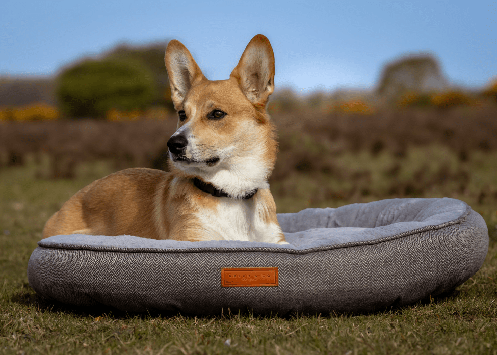 Ralph & Co Balmoral Luxury Donut Dog Bed