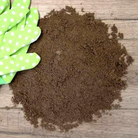 Dandy’s Drainage Sand