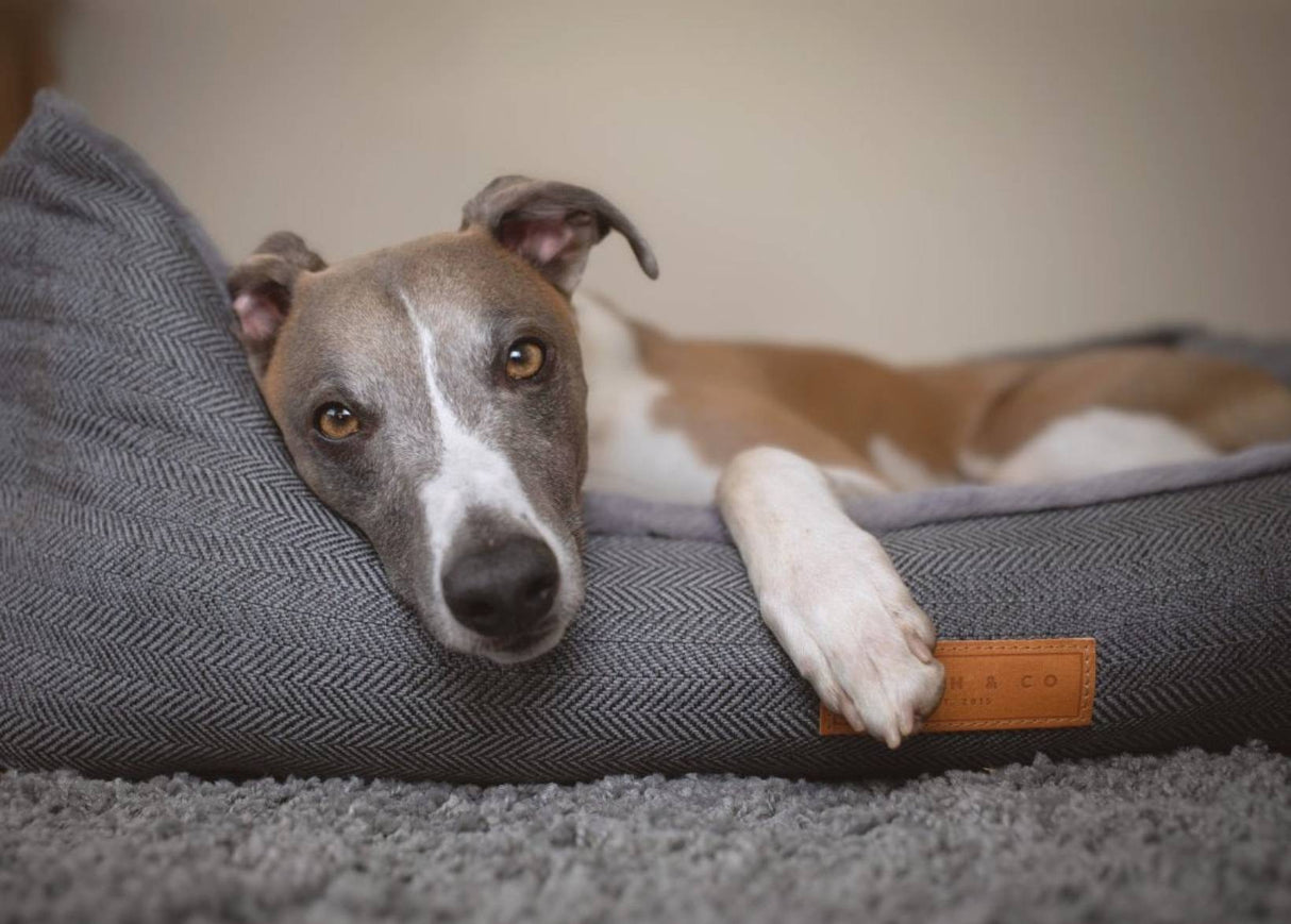 Ralph & Co Balmoral Luxury Herringbone Dog Bed
