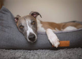 Ralph & Co Balmoral Luxury Herringbone Dog Bed