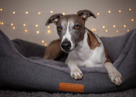Ralph & Co Balmoral Luxury Herringbone Dog Bed